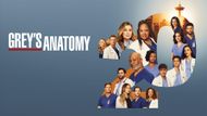 Grey's Anatomy (Image via Prime Video) Anatomy (Image Source: Prime Video)